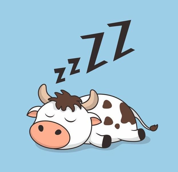 lazy-cow-sleeping-cartoon-isolated-blue_125446-618