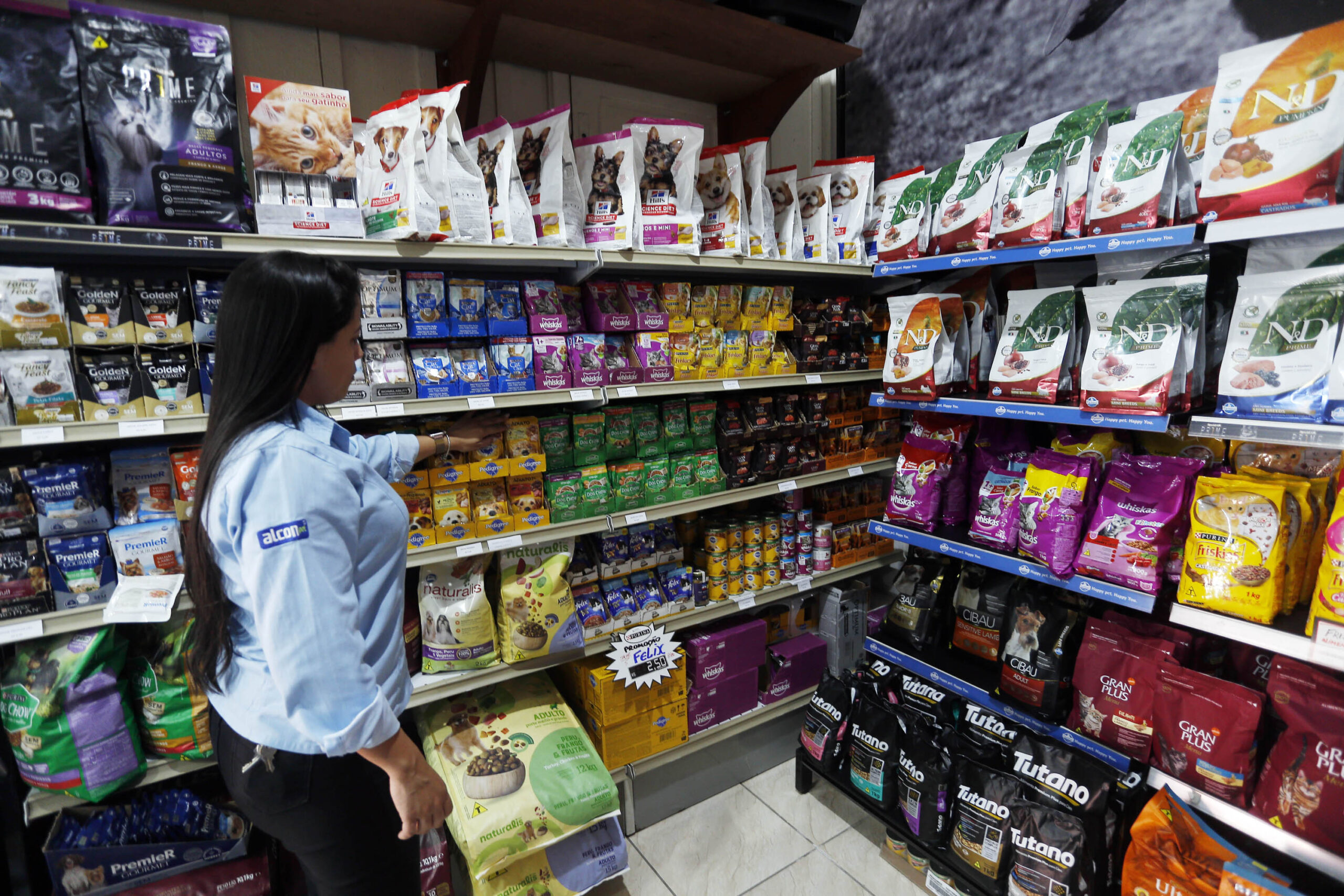 Ração para cachorros e gatos – Pedigree, Whiskas e Royal Canin. PremieR, Golden e Vitta NaturalCachorro golden retriever de nome Mujica Paraná lidera geração de empregos no Sul no 1º semestre
Foto: Albari Rosa/AEN