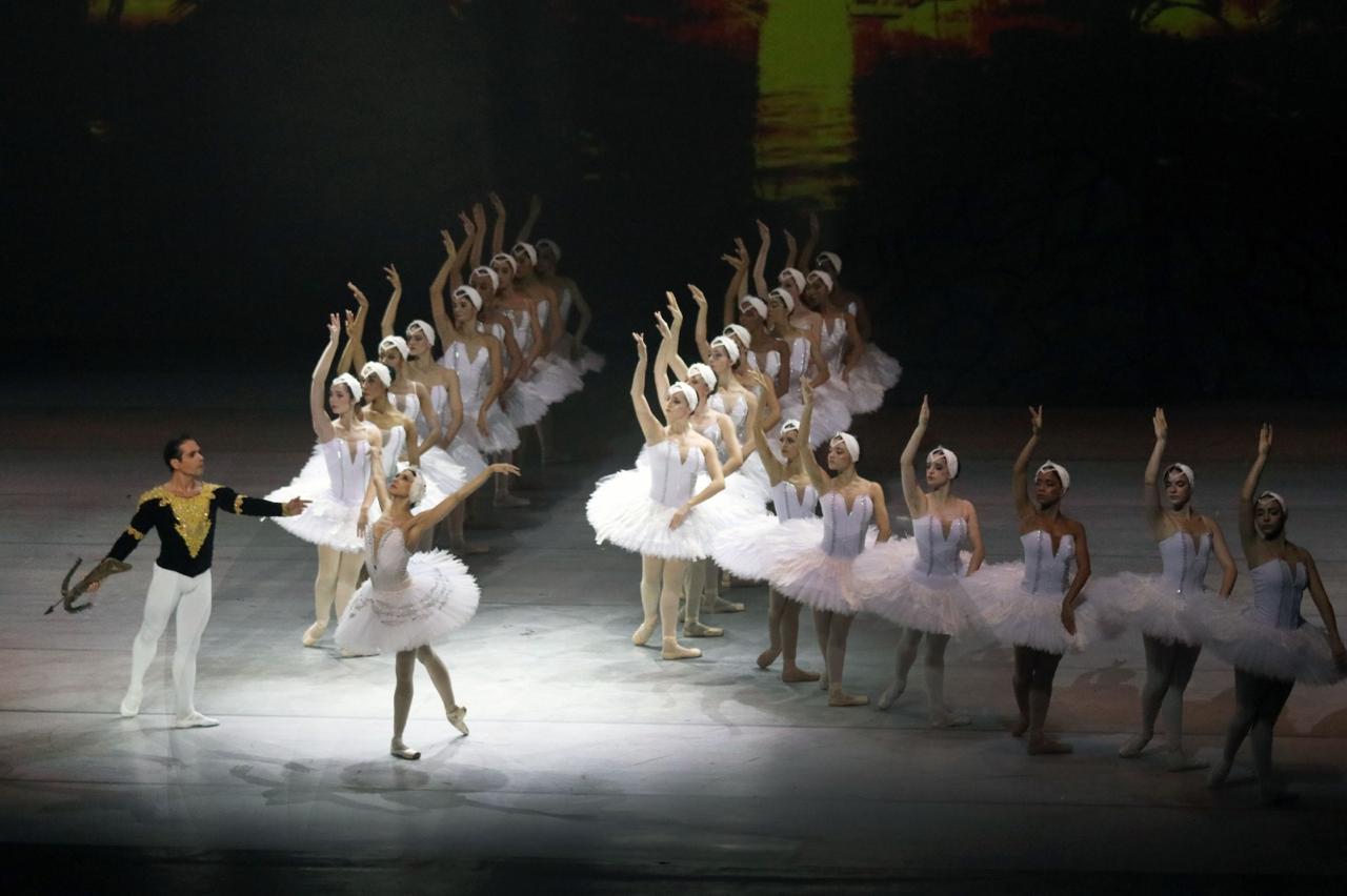 lago-dos-cisnes-2024 Arquivo Curitiba Cia de Dança 2024
(O Lago dos Cisnes) - Foto: Diulgação