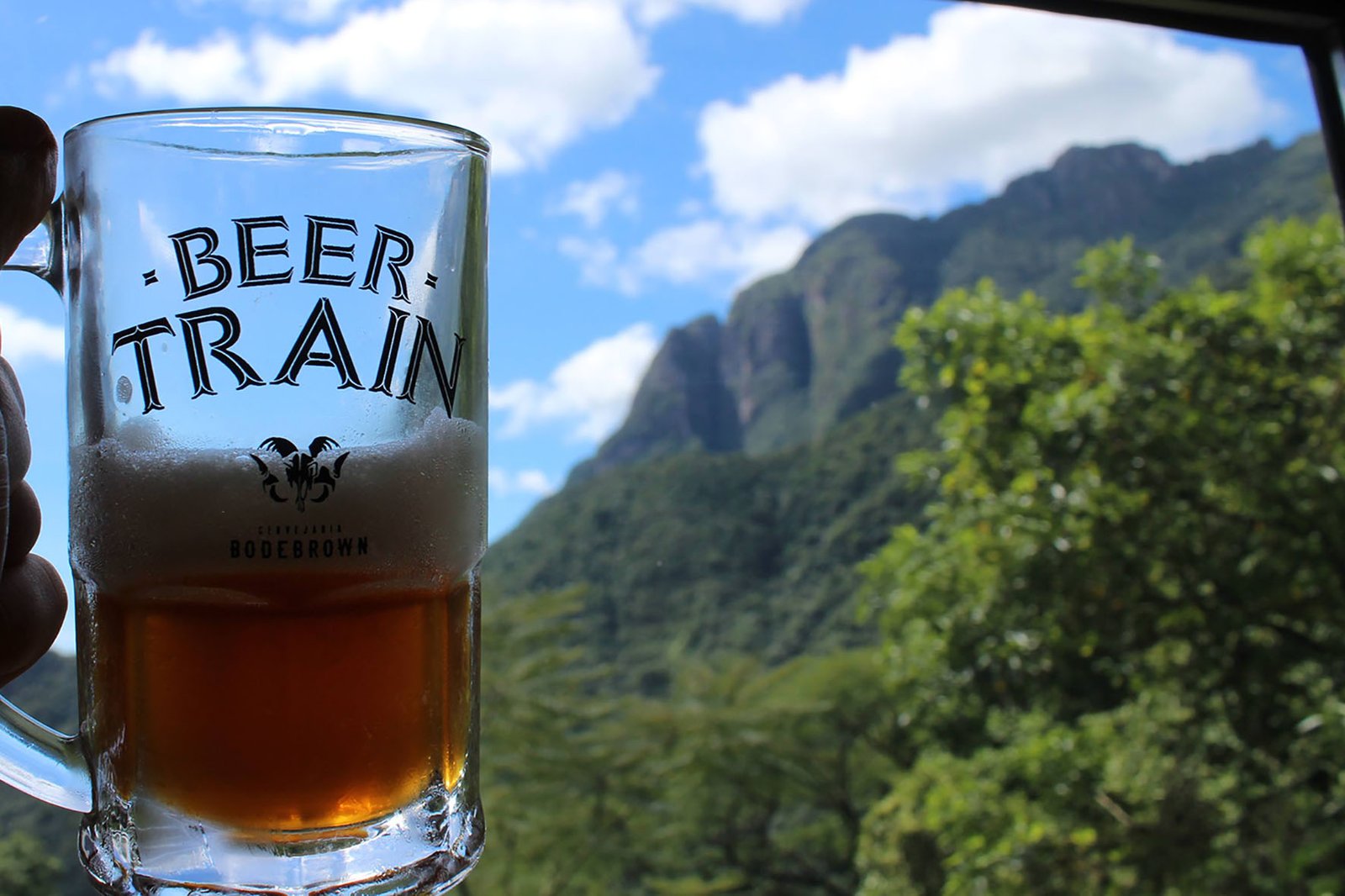 Beer Train pela Serra do Mar - foto Cauby Ross (1)