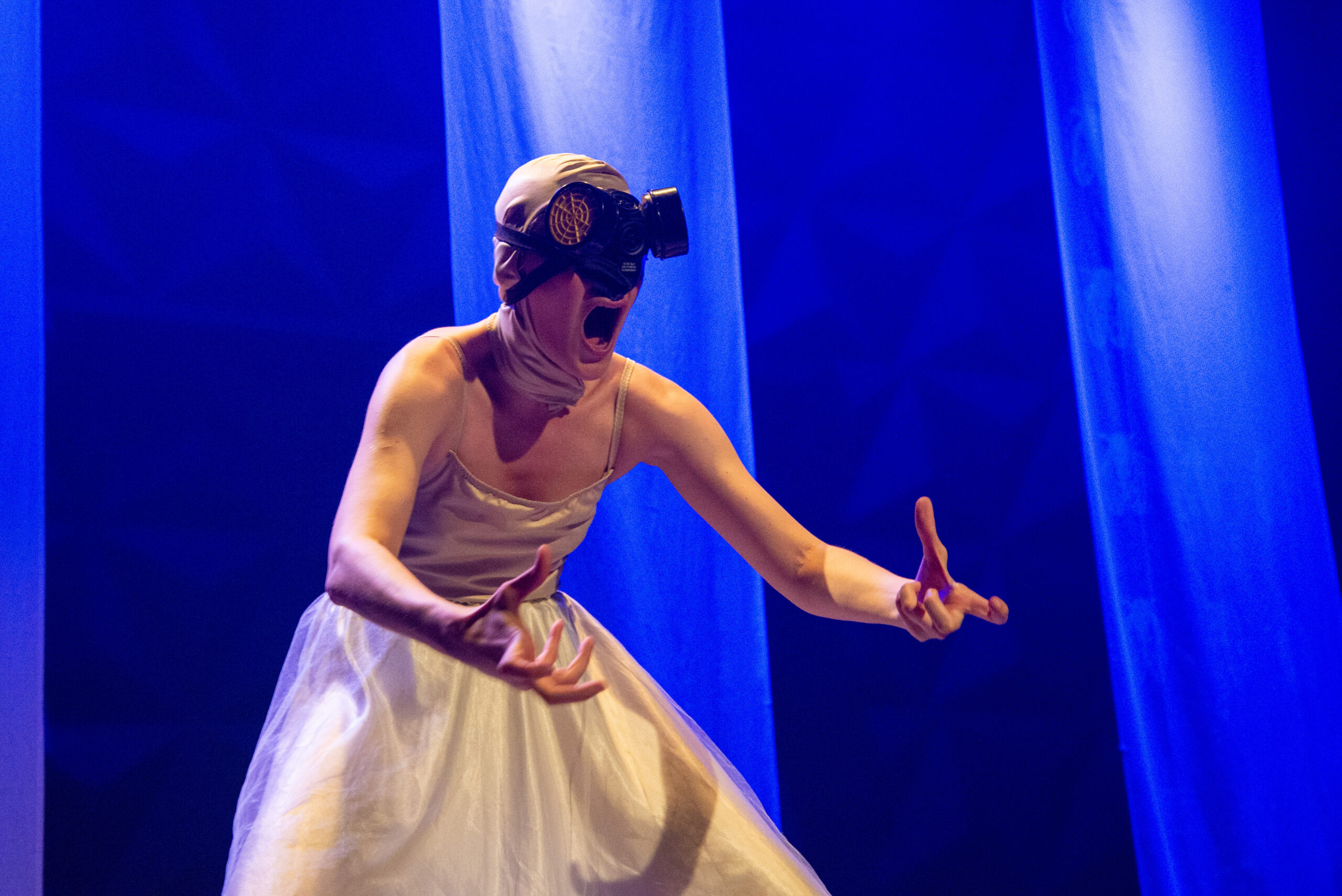 Foto Raquel Carneiro-1037