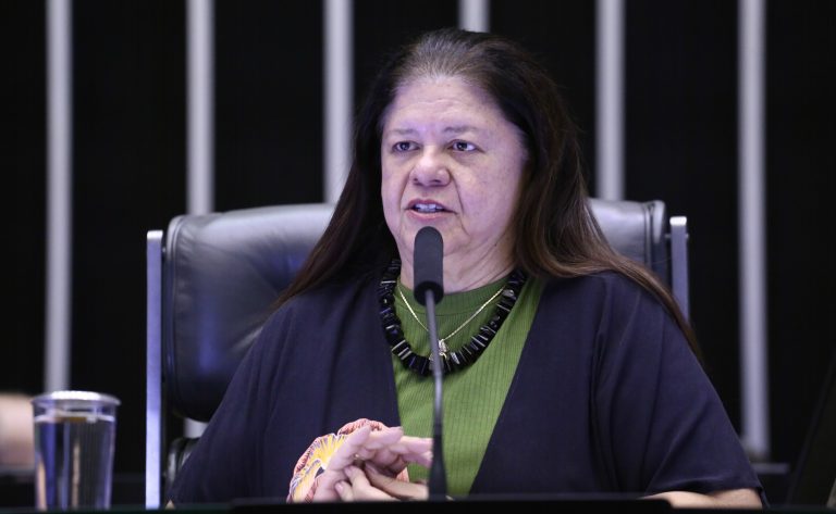 Deputada Laura Carneiro fala ao microfone