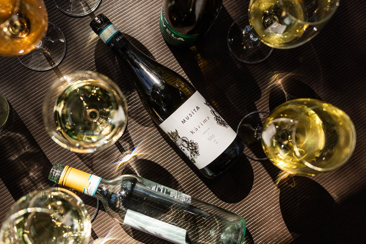 Harmonizando - foto Cauby Ross (1)