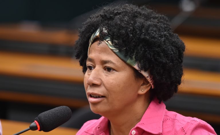 Audiência Pública - Obras da BR-319 e os impactos orçamentários e financeiros causados pela demora na sua consolidação, com impactos econômicos na Amazônia Ocidental. Dep. Silvia Cristina (PP - RO)