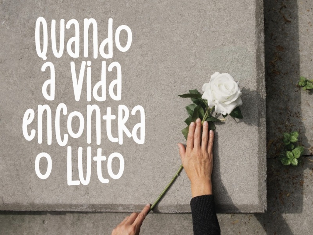 0db165d6-c101-4d4d-aa65-74fda63a2361