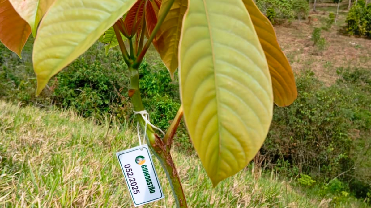 6743079e-76b5-4c2a-8eac-5dcf9babbd08