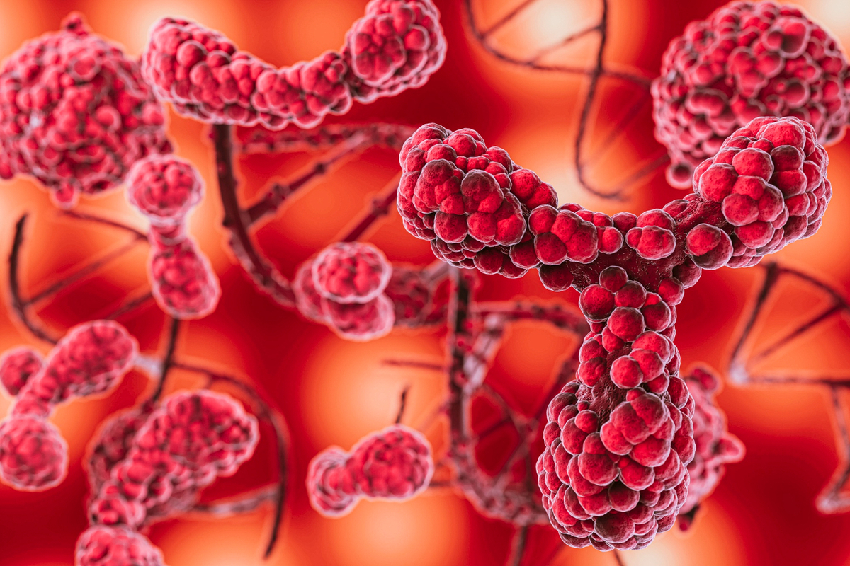 87bbf355-529a-4a3a-95b6-c1c87142b0ac