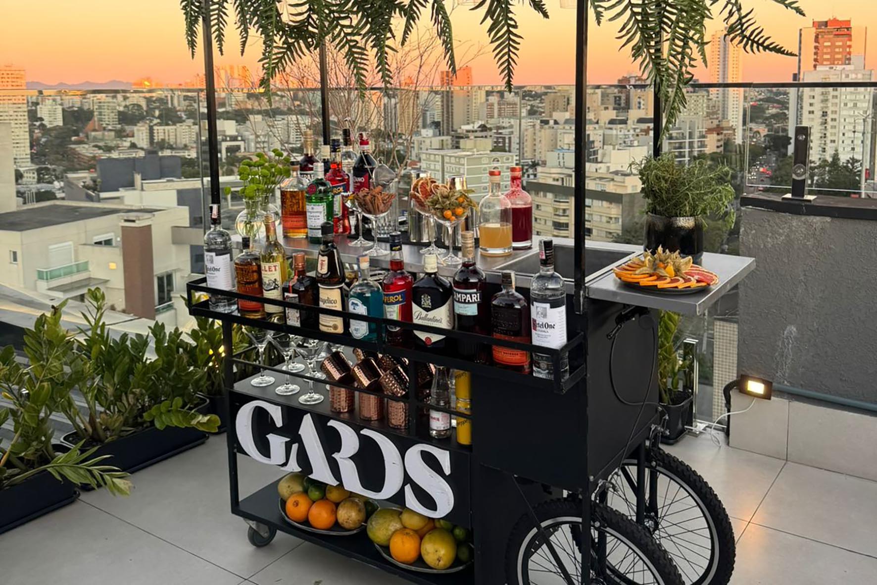 Carrinho Gards - foto Pinha Studio (2)