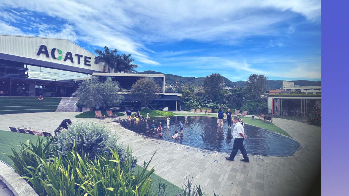 a4d82f1c-0c47-4cc8-a137-426de58e42f5