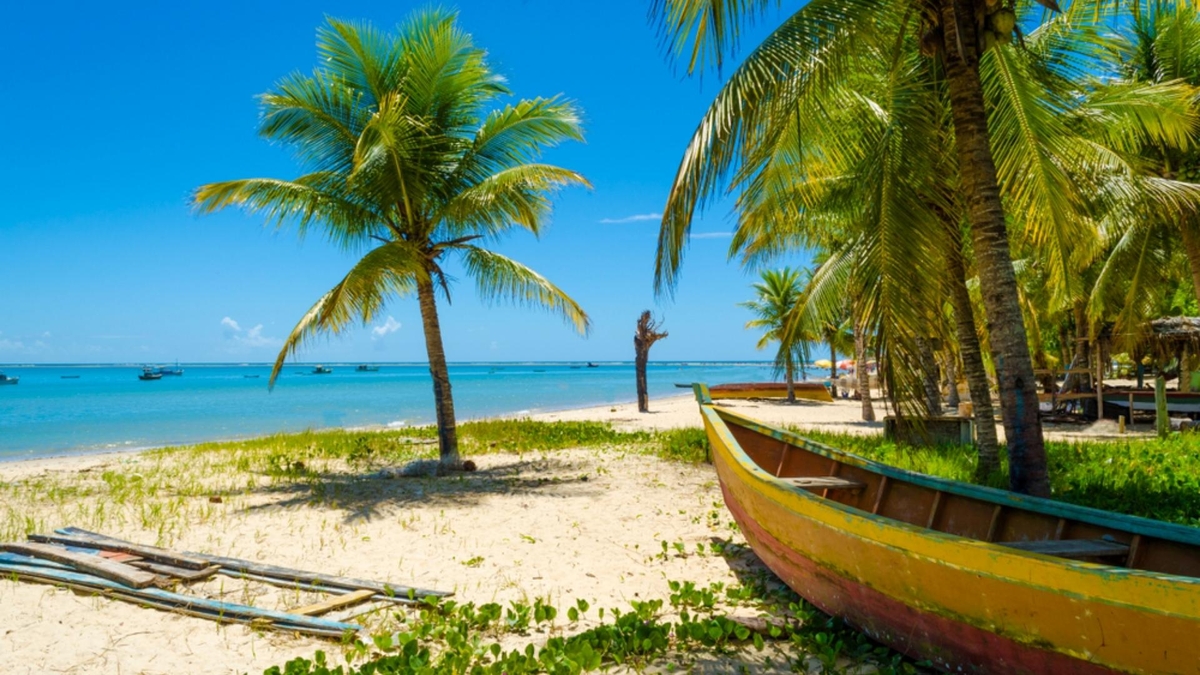 606a0f58-d2d8-473b-8021-f3a15b2cc7c4