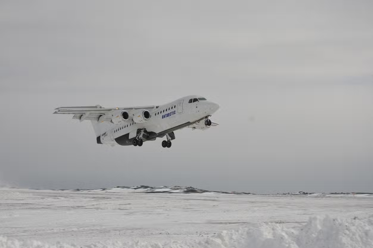 959f4055-e938-4ed9-98a5-23ac86ab30ec