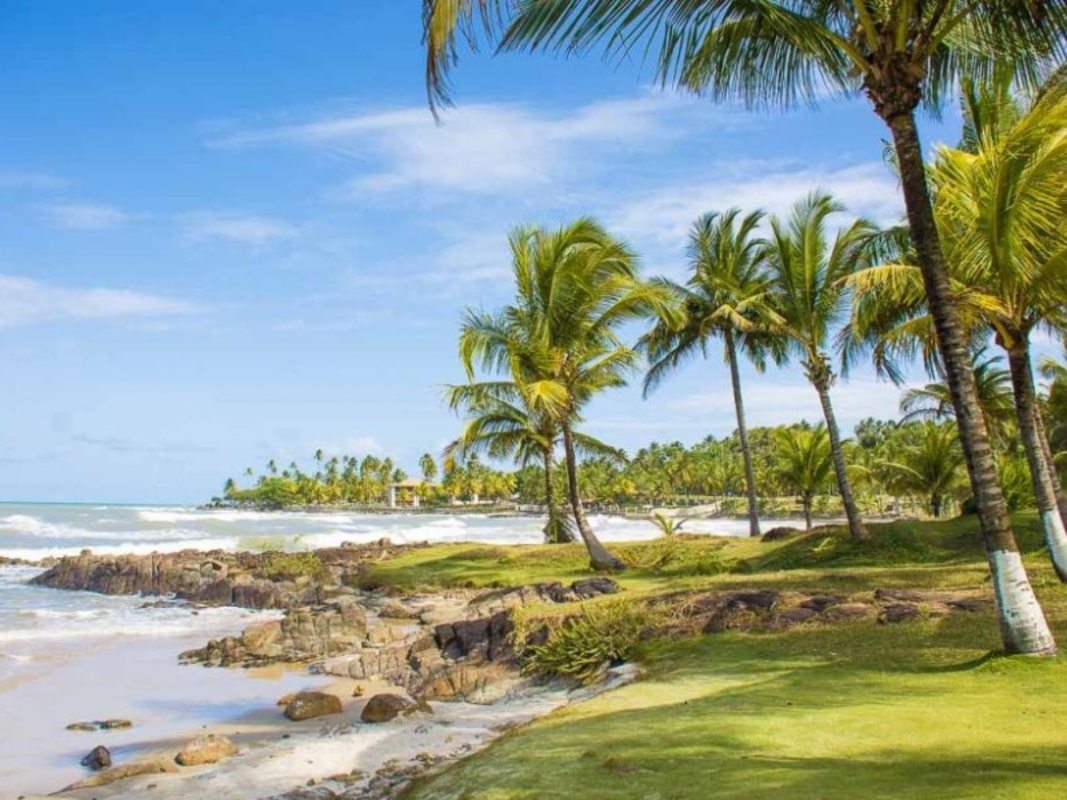 bce8d217-35d0-4294-bfb9-dbaafe17f47b