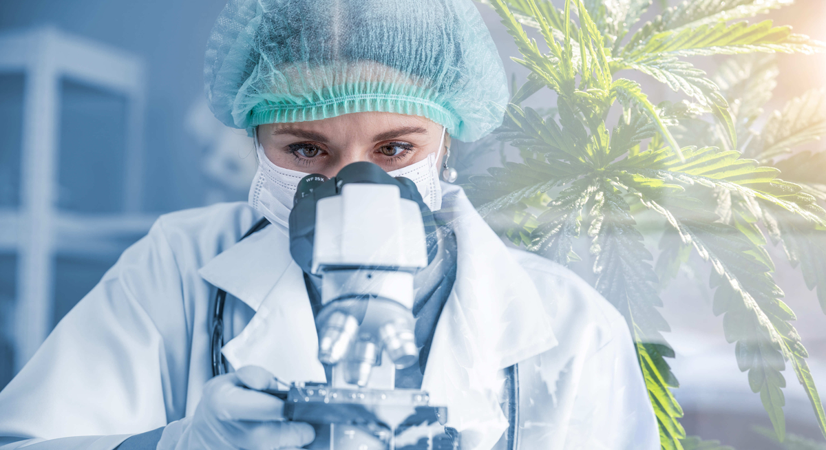 d7fa6b71-8a8a-41da-a80c-60c183f5acf9 d7fa6b71-8a8a-41da-a80c-60c183f5acf9