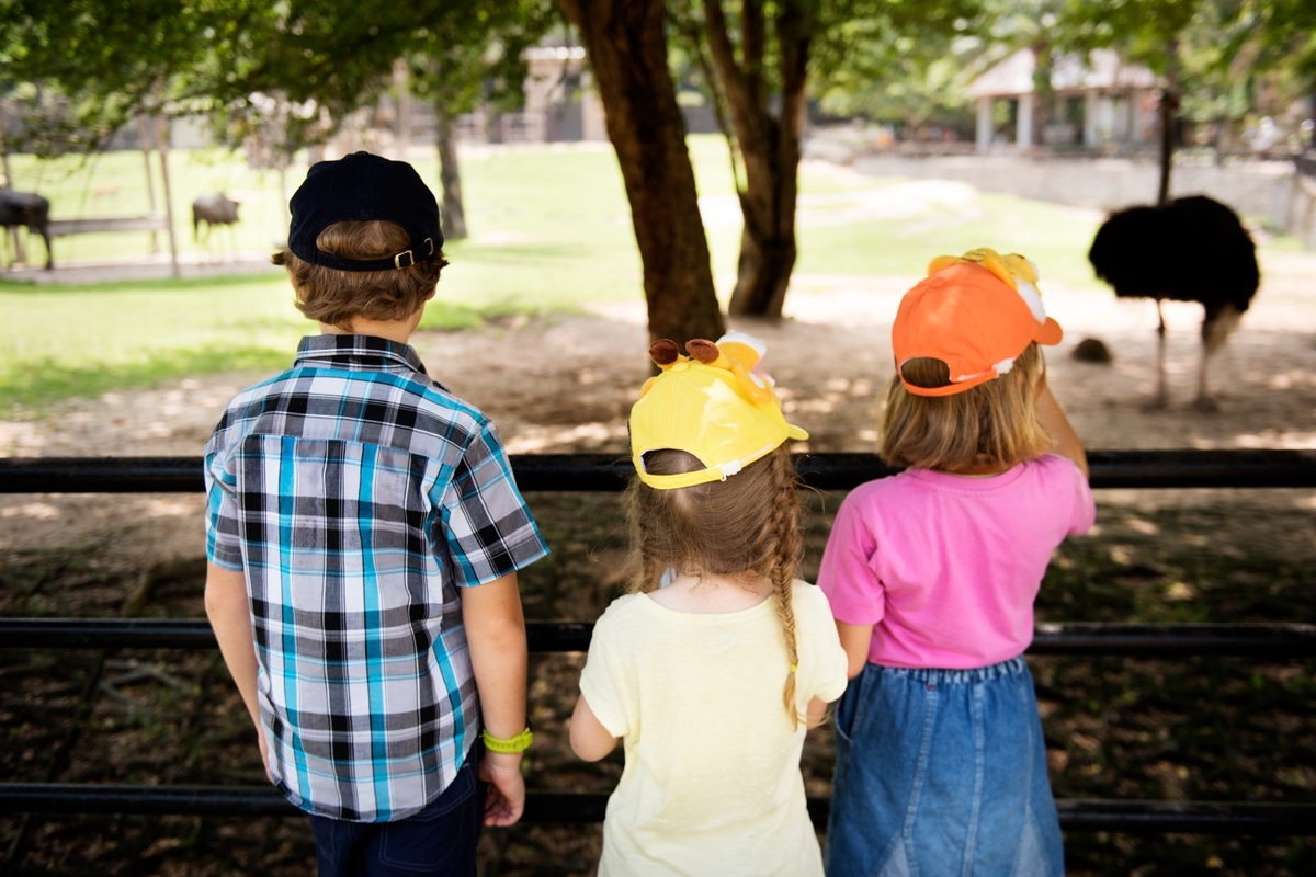 202f0c14-8ff1-4e34-b274-72d381fd847b 202f0c14-8ff1-4e34-b274-72d381fd847b