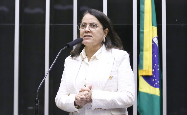 Discussão e Votação de Propostas Legislativas. Dep. Rosângela Reis (PL - MG)