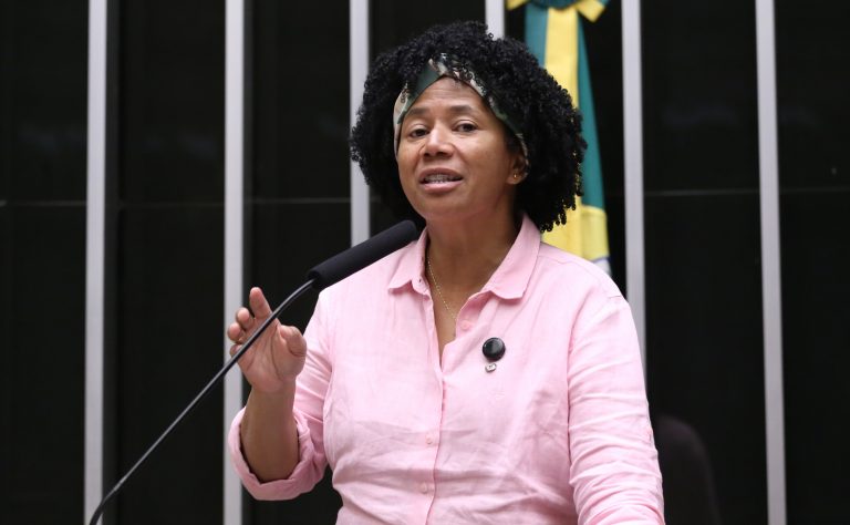 Discussão e votação de propostas legislativas. Dep. Silvia Cristina (PP-RO)