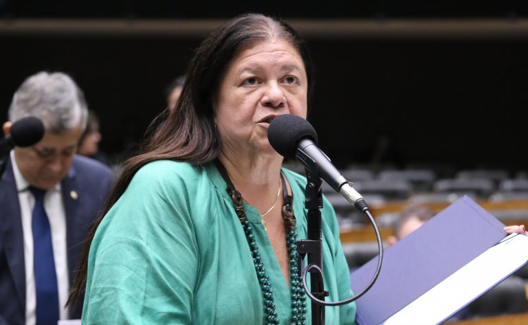 Deputada Laura Carneiro fala ao microfone 