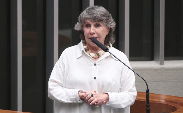 Sessão Solene em Homenagem ao Aniversário de Brasília. Dep. Erika Kokay (PT - DF)